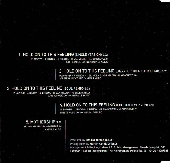R.E.D. (2) Featuring Birgit And Strezz (2) : Hold On To This Feeling (CD, Maxi)