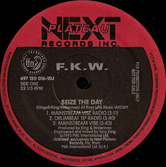 FKW (2) : Seize The Day (12", Maxi, Promo)