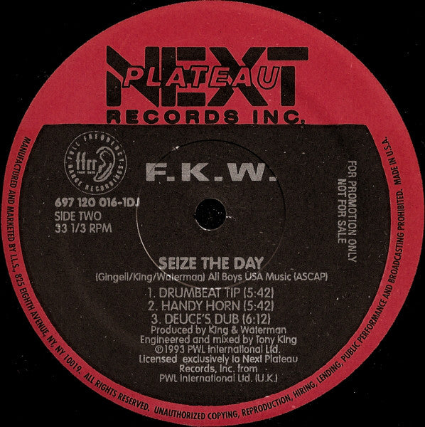 FKW (2) : Seize The Day (12", Maxi, Promo)