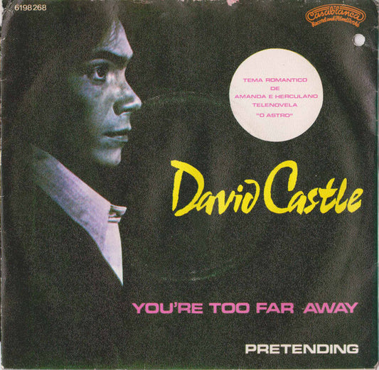 David Castle : You're Too Far Away / Pretending (7")