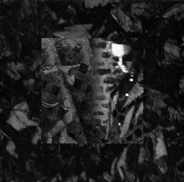 Patrick O'Hearn : The Private Music Of Patrick O'Hearn (CD, Comp)