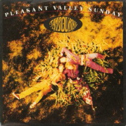 Tambourine : Pleasant Valley Sunday (7", Single)