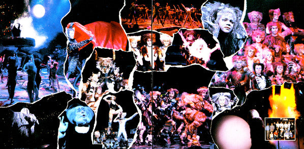 Andrew Lloyd Webber : Cats (Nederlandstalige Versie) (2xLP, Album)