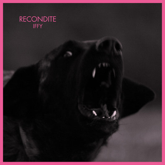 Recondite : Iffy (2xLP, Album, Gat)