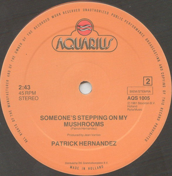 Patrick Hernandez : Good Bye (12", Maxi)