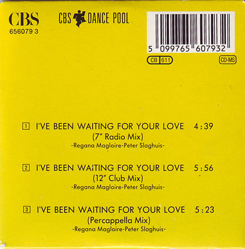 Hithouse : I've Been Waiting For Your Love (CD, Mini, Maxi)