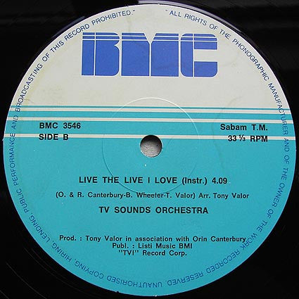 Fantasy (2) / Tony Valor Sounds Orchestra : Live The Life I Love (12")