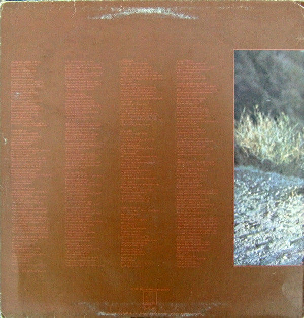 Stevie Wonder : Talking Book (LP, Album, RE)