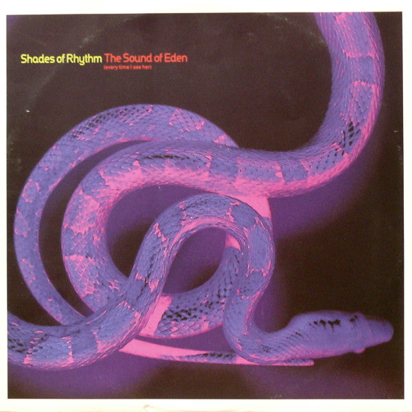 Shades Of Rhythm : The Sound Of Eden (Every Time I See Her) (12")