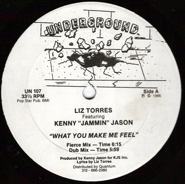 Liz Torres Featuring Kenny "Jammin" Jason : What You Make Me Feel (12")