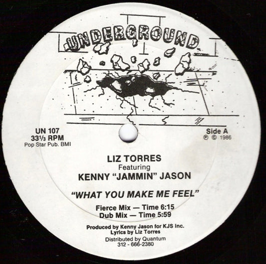 Liz Torres Featuring Kenny "Jammin" Jason : What You Make Me Feel (12")