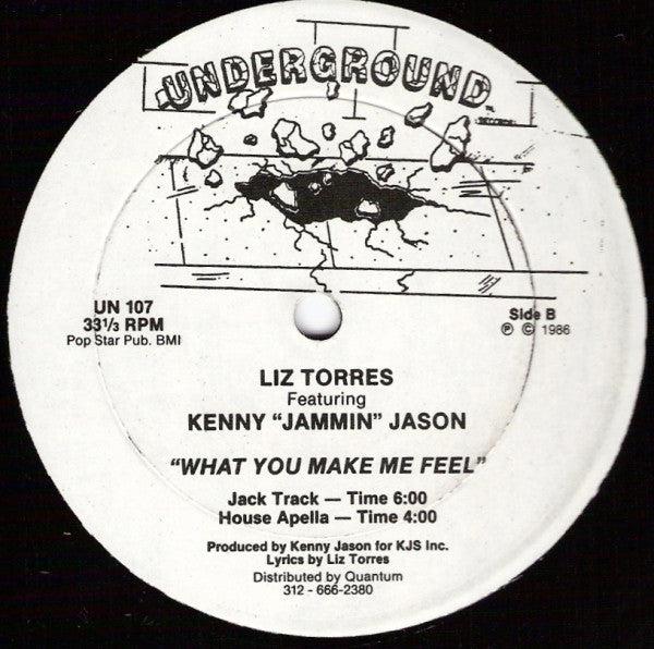 Liz Torres Featuring Kenny "Jammin" Jason : What You Make Me Feel (12")
