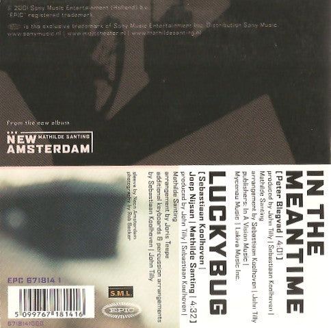 Mathilde Santing : In The Meantime (CD, Single)