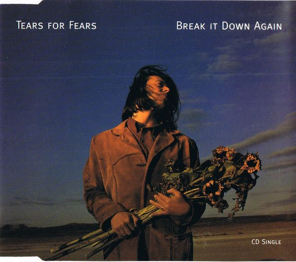 Tears For Fears : Break It Down Again (CD, Single)