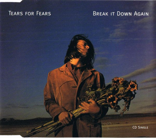 Tears For Fears : Break It Down Again (CD, Single)