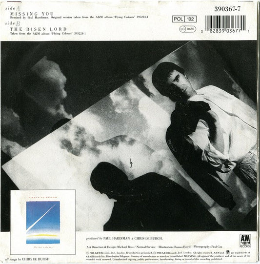 Chris de Burgh : Missing You (7", Single)