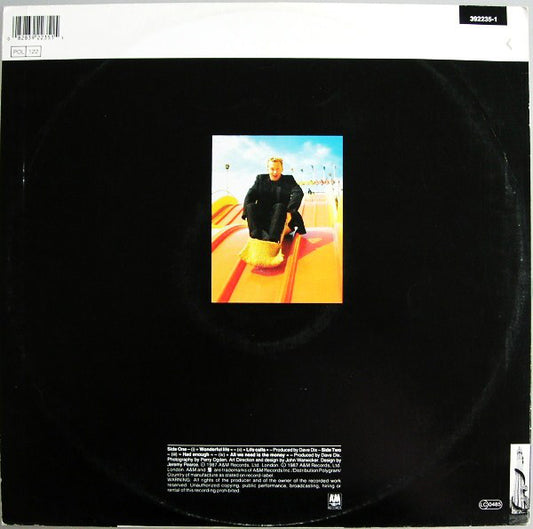 Black (2) : Wonderful Life (12", Single)