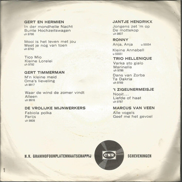 Hermien Timmerman : In 't Wit (7", Single)