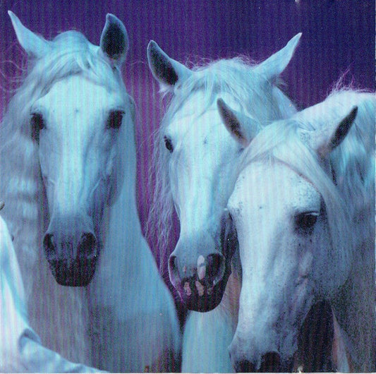 Michel Cusson : Cavalia (CD)