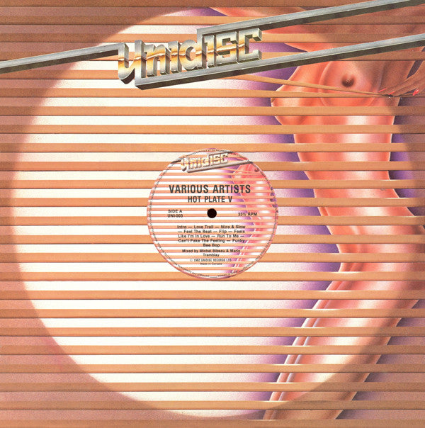 Various : Hot Plate V (12", Mixed)