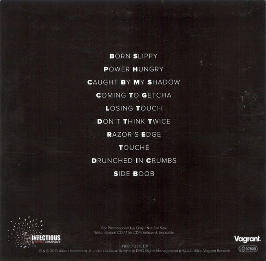 Albert Hammond Jr. : Momentary Masters (CDr, Album, Copy Prot., Promo)