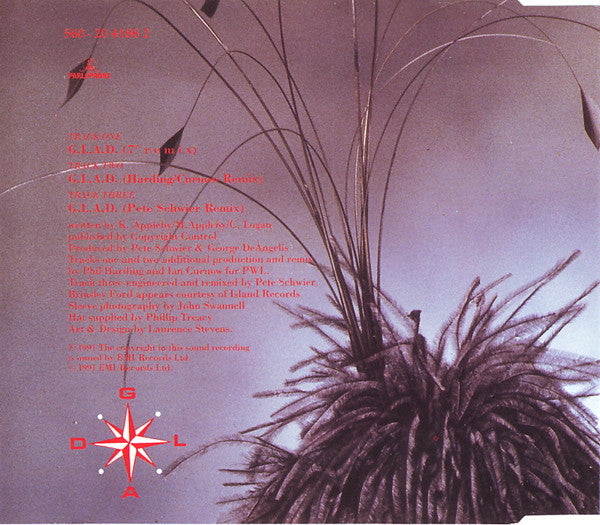 Kim Appleby : G.L.A.D. (CD, Single)
