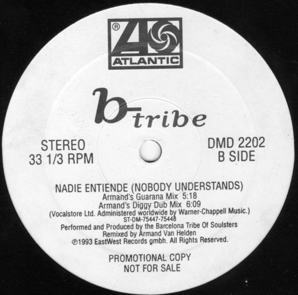 B-Tribe : Nadie Entiende (Nobody Understands) (12", Promo)