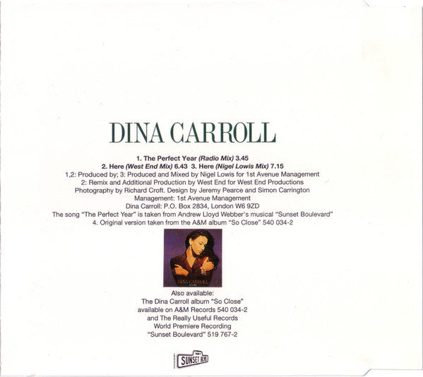 Dina Carroll : The Perfect Year (CD, Single, Cal)