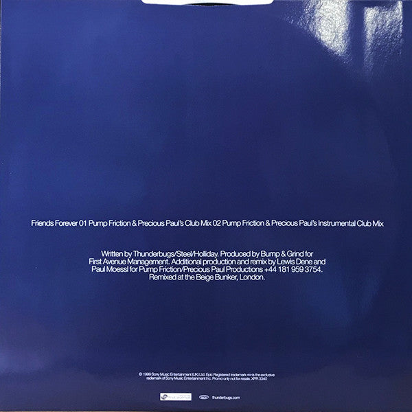 Thunderbugs : Friends Forever (The Pump Friction & Precious Paul Mixes) (12", Promo)
