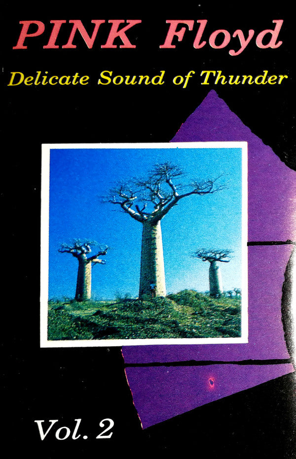 Pink Floyd : Delicate Sound Of Thunder Vol. 2 (Cass, Album)