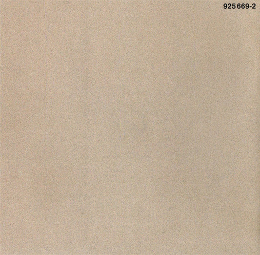 Brian Wilson : Brian Wilson (CD, Album)