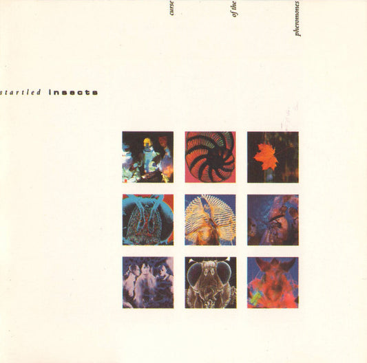 Startled Insects : Curse Of The Pheromones (CD)