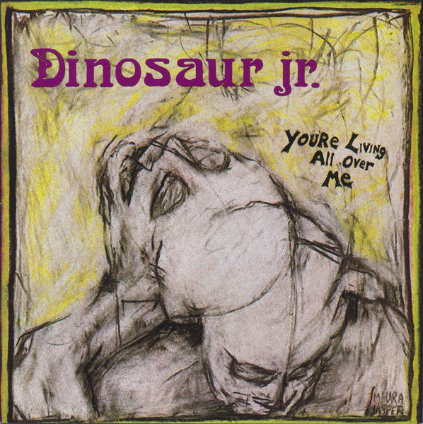 Dinosaur Jr. : You're Living All Over Me (CD, Album)