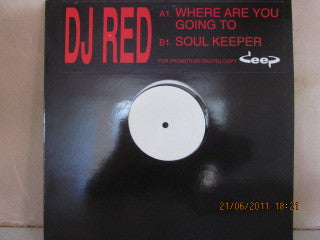 R.E.D. (2) : Where Are You Going To / Soul Keeper (12", Promo, W/Lbl)