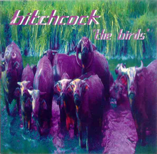 Bitchcock : The Birds (CD, Album)