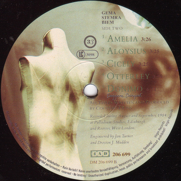 Cocteau Twins : Treasure (LP, Album)
