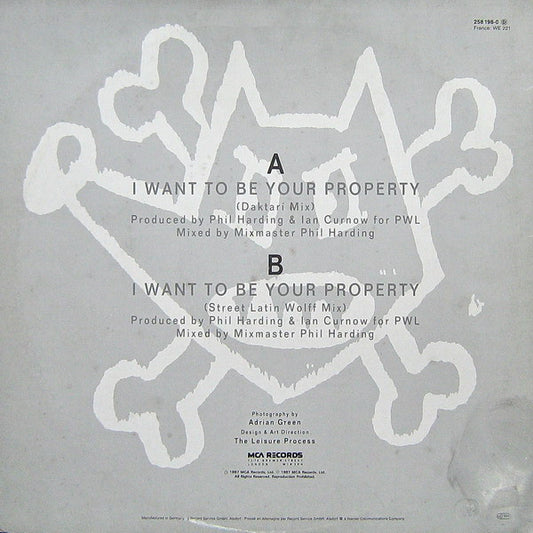 Blue Mercedes : I Want To Be Your Property (12")