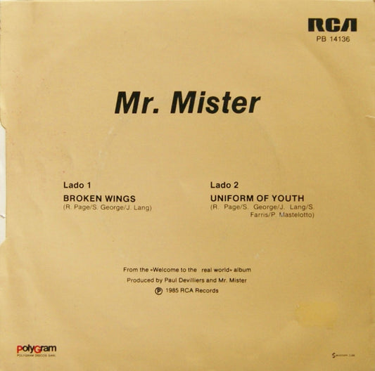 Mr. Mister : Broken Wings / Uniform Of Youth (7", Single)