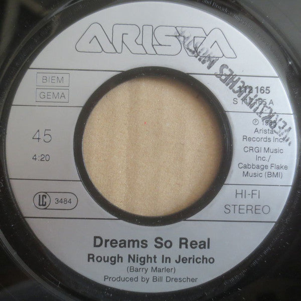 Dreams So Real : Rough Night In Jericho (7", Single)
