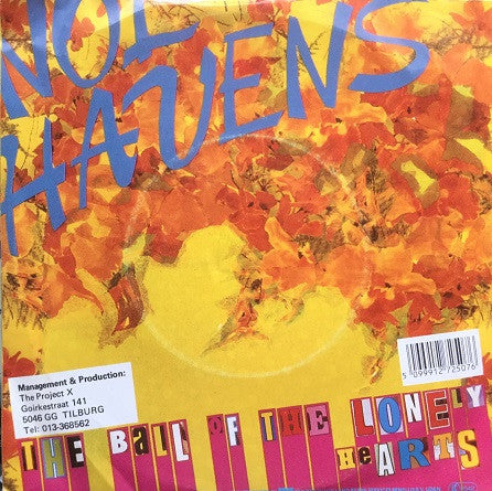 Nol Havens : Ordinary Guy (7", Single)