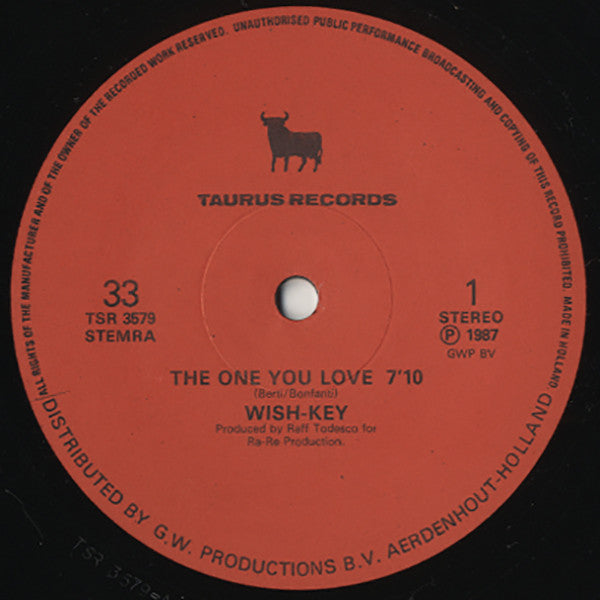 Wish Key : The One You Love (12")