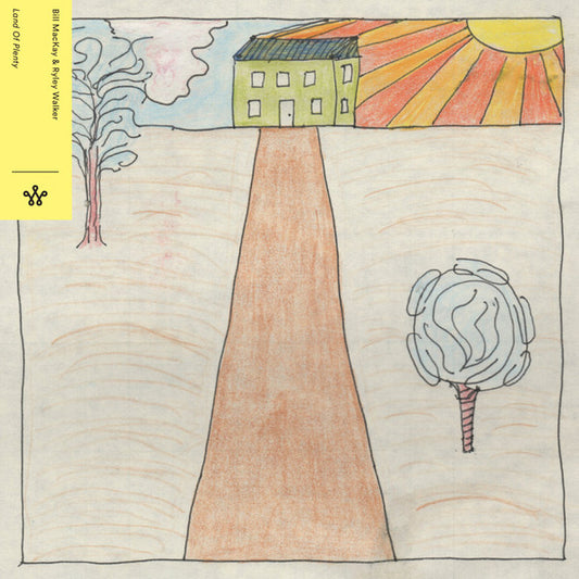 Bill MacKay & Ryley Walker : Land of Plenty (CD, Album)