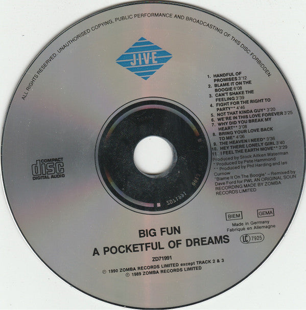 Big Fun : A Pocketful Of Dreams (CD, Album)