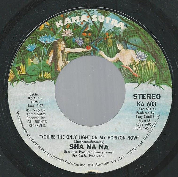 Sha Na Na : You're The Only Light On My Horizon Now (7", Single, Pit)