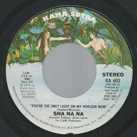 Sha Na Na : You're The Only Light On My Horizon Now (7", Single, Pit)
