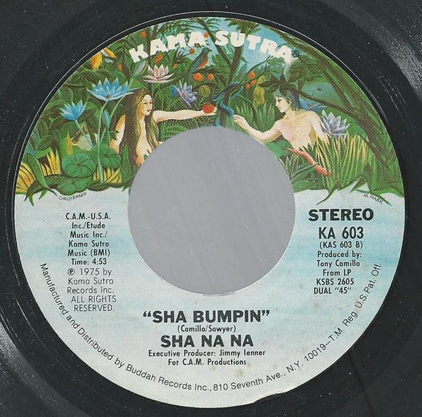 Sha Na Na : You're The Only Light On My Horizon Now (7", Single, Pit)