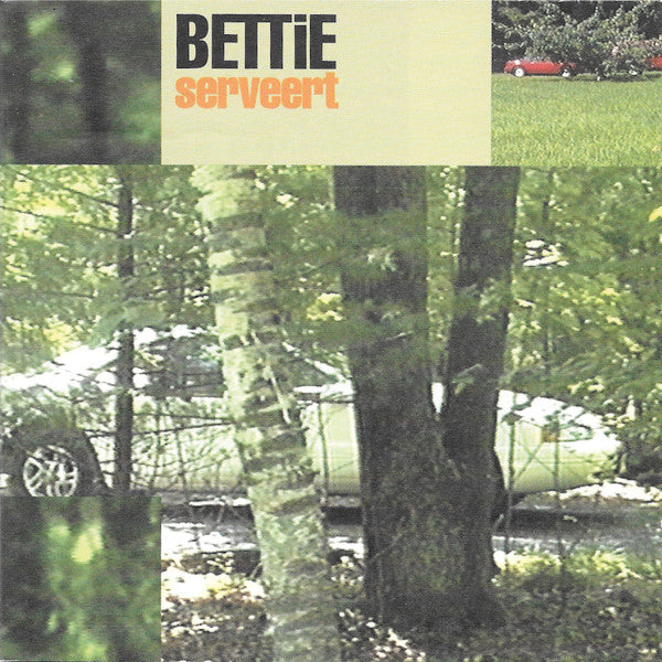 Bettie Serveert : Dust Bunnies (CD, Album)