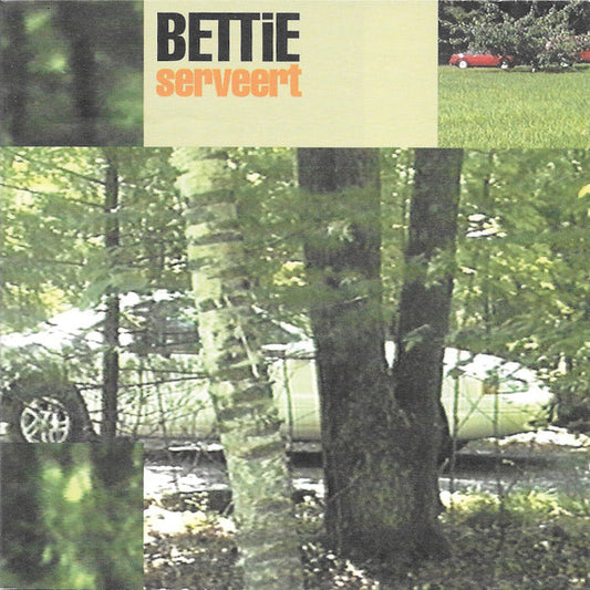 Bettie Serveert : Dust Bunnies (CD, Album)