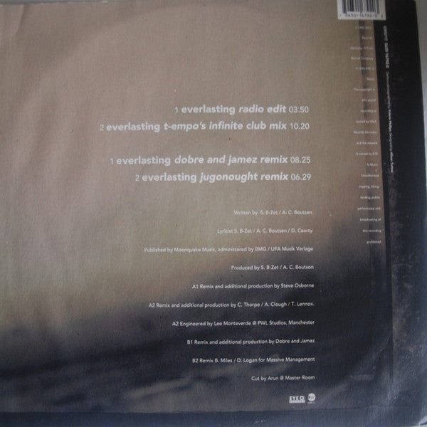 Darlesia Cearcy : Everlasting... (12")