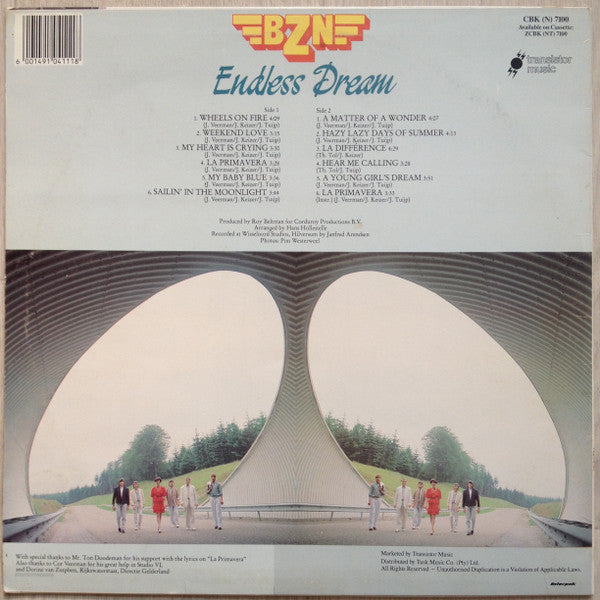 BZN : Endless Dream (LP, Album)